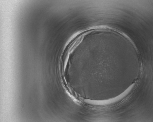 X0000080151054200612302123