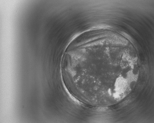 X0000080151055200612302123