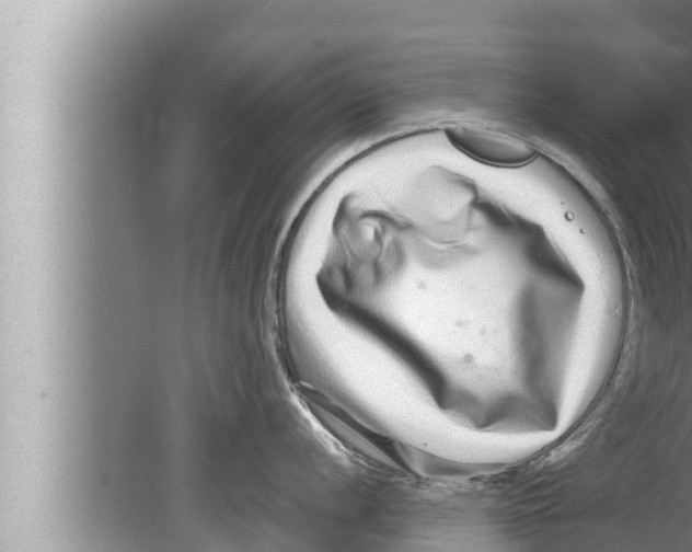 X0000080151056200612302123