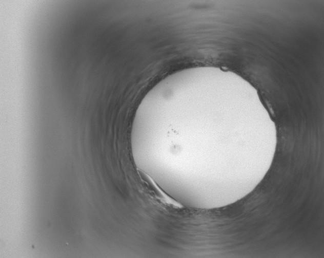 X0000080151057200612302122