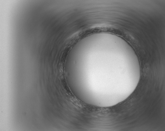 X0000080151062200612302122