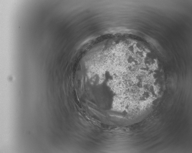 X0000080151063200612302122