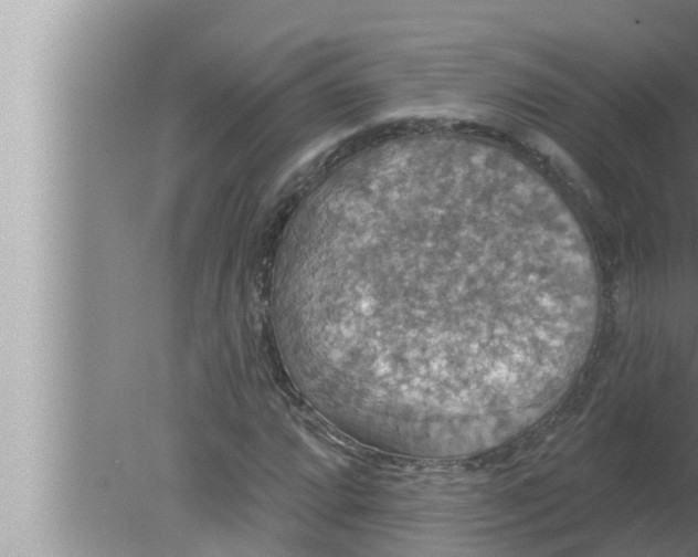 X0000080151064200612302122