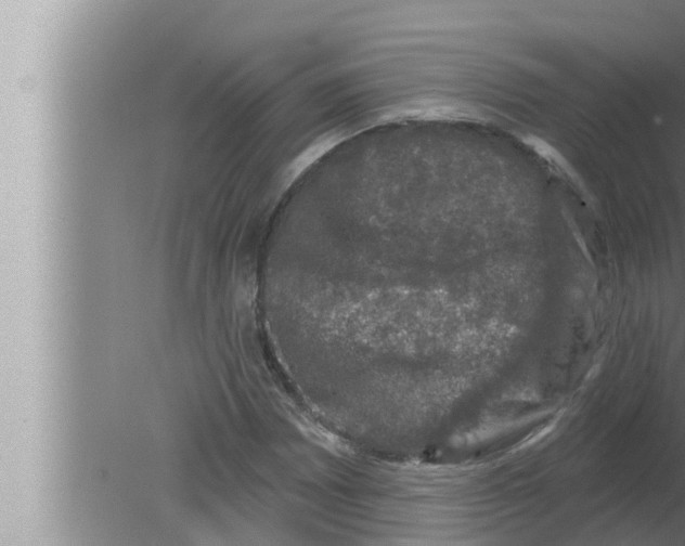 X0000080151065200612302122