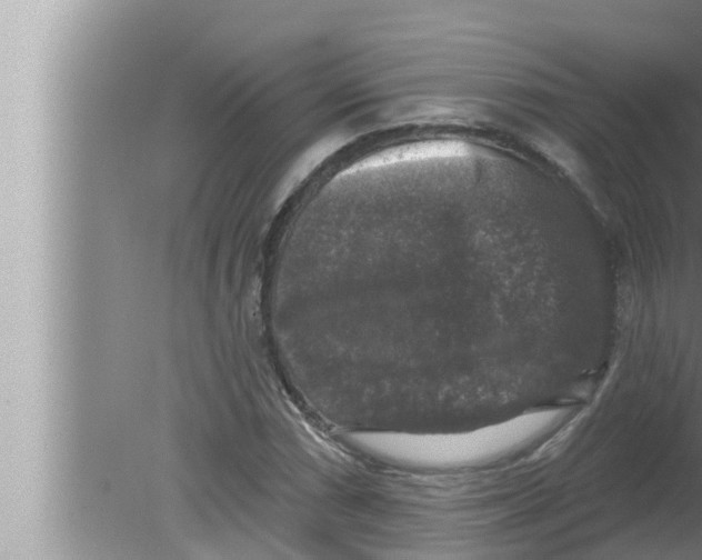 X0000080151066200612302122