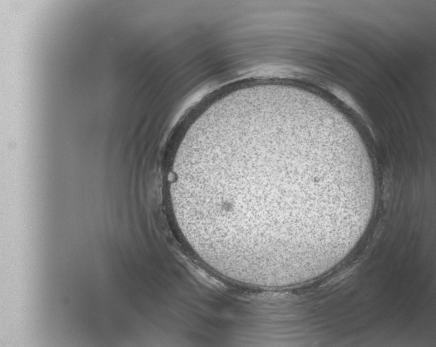 X0000080151067200612302122