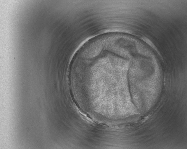 X0000080151068200612302122