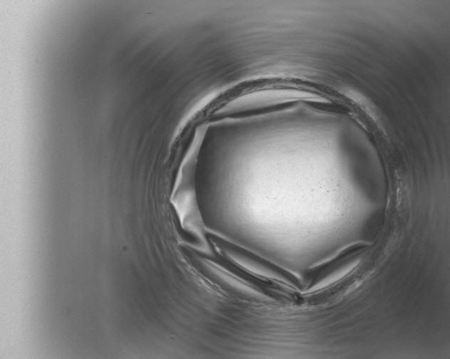 X0000080151069200612302122