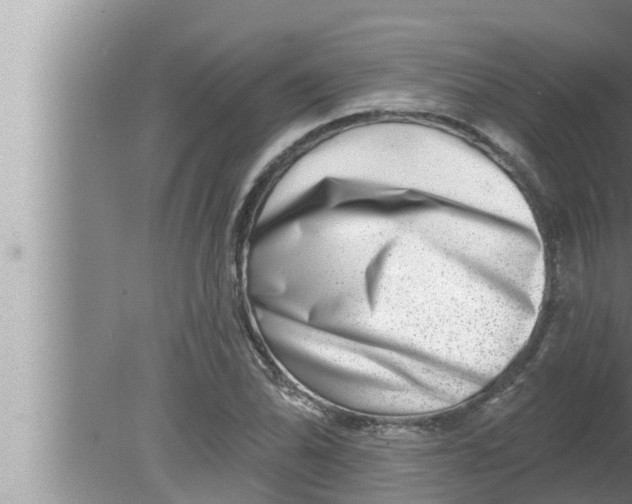 X0000080151070200612302122