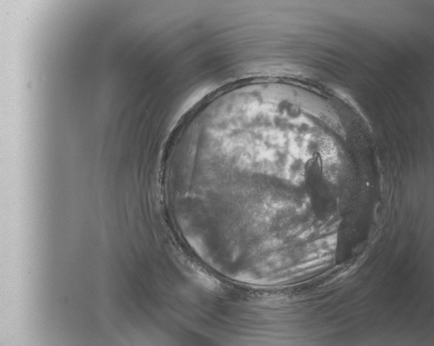 X0000080151071200612302122