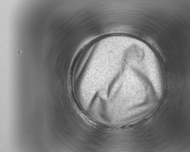 X0000080151072200612302122