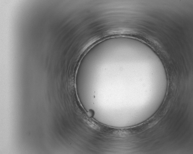 X0000080151073200612302122