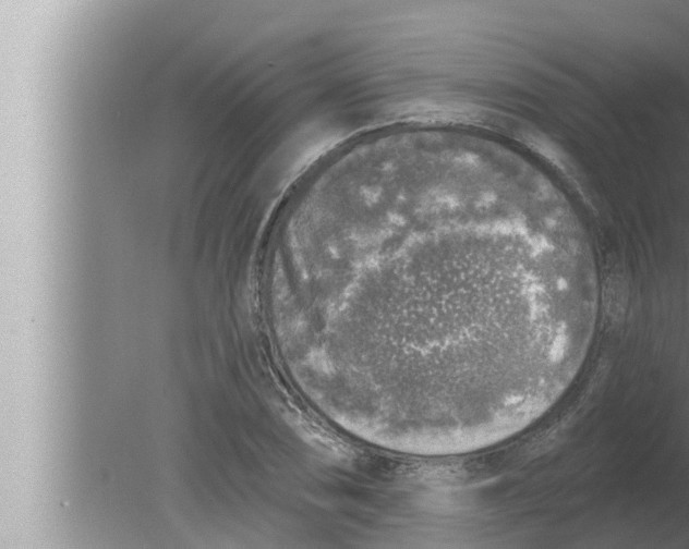 X0000080151074200612302122