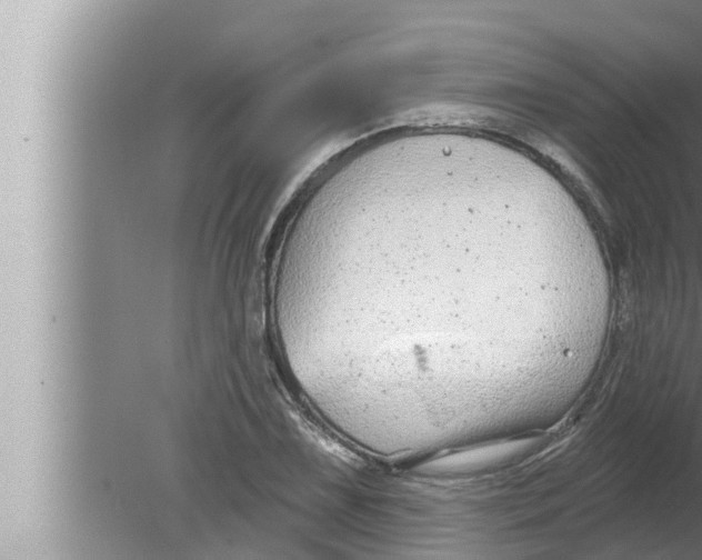 X0000080151075200612302122