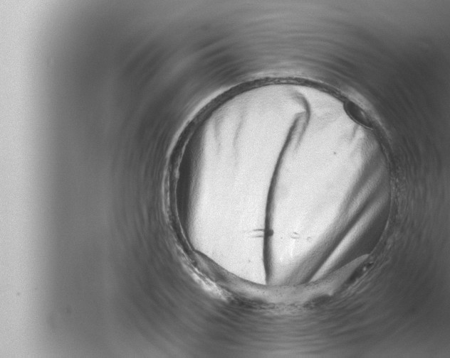 X0000080151076200612302121