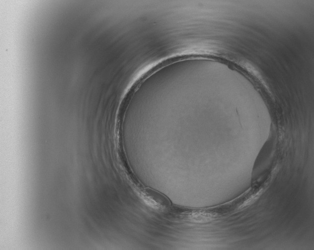 X0000080151077200612302121