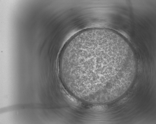 X0000080151078200612302121