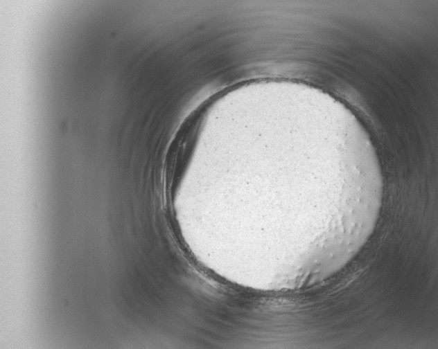 X0000080151079200612302121