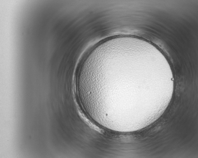 X0000080151080200612302121