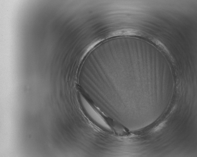 X0000080151081200612302121