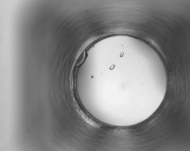 X0000080151082200612302121