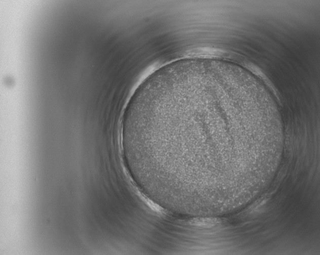 X0000080151083200612302121