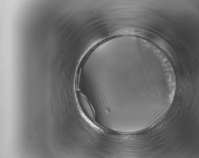 X0000080151084200612302121