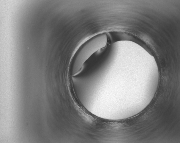 X0000080151085200612302121