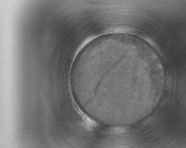 X0000080151086200612302121