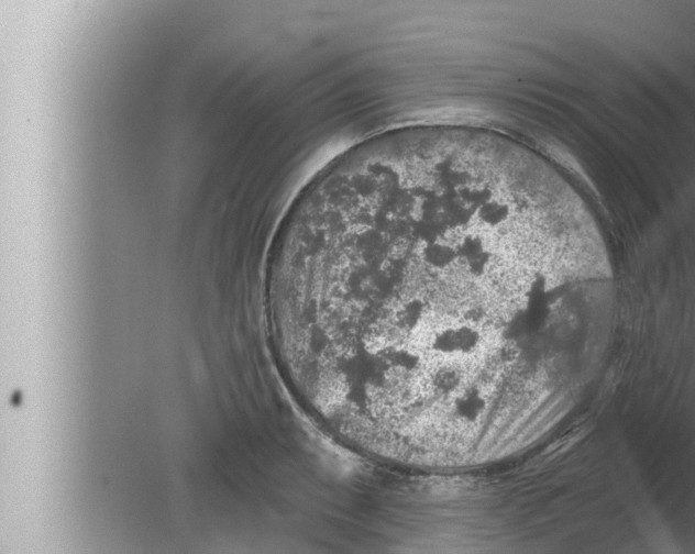 X0000080151087200612302121