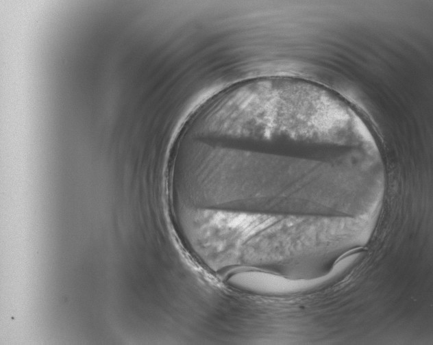 X0000080151088200612302121