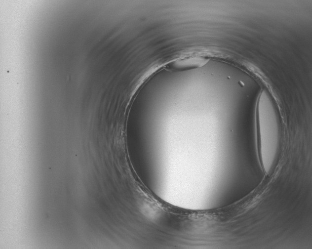 X0000080151089200612302121