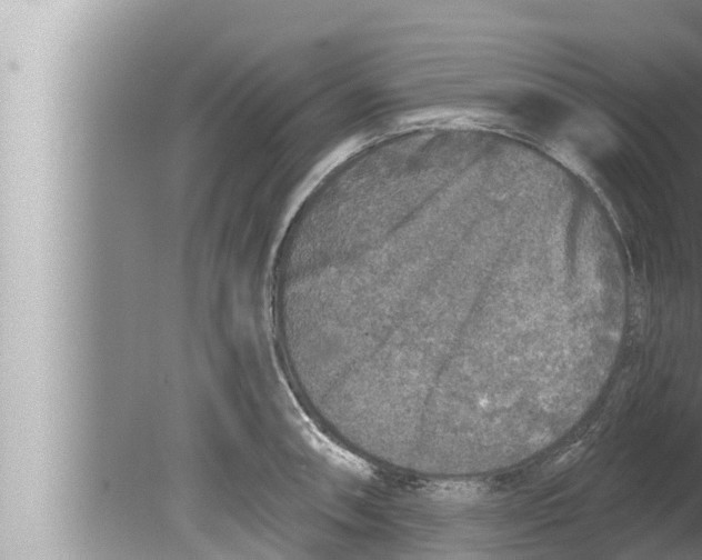 X0000080151090200612302121