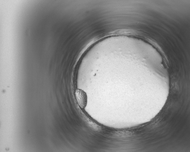 X0000080151091200612302121