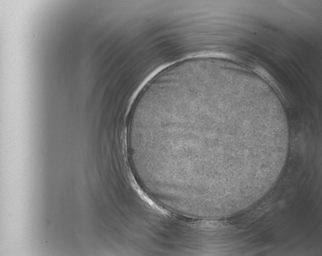 X0000080151092200612302121