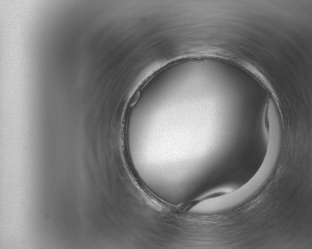 X0000080151093200612302121