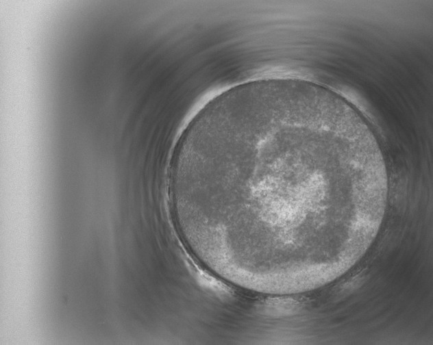 X0000080151094200612302121