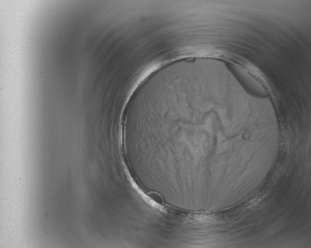 X0000080151095200612302121