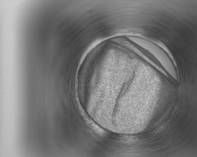 X0000080151096200612302121