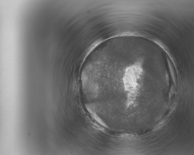 X0000080151097200612302121