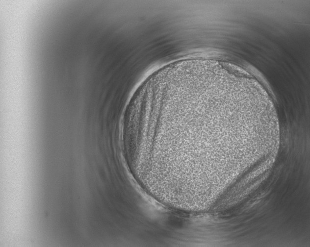 X0000080151099200612302121