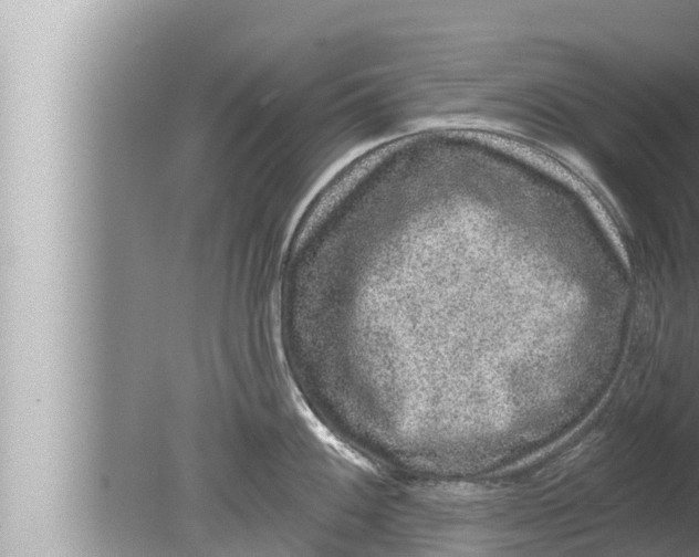 X0000080151100200612302121