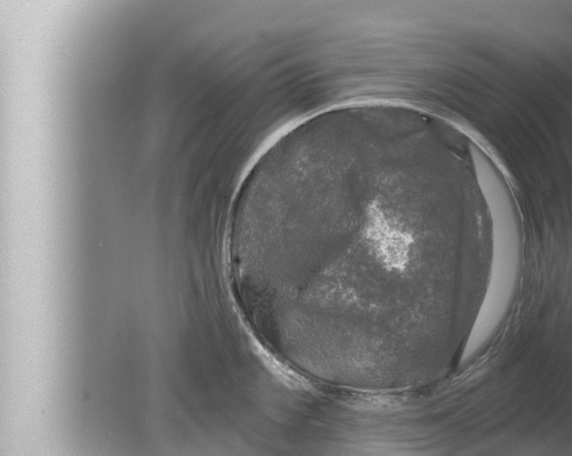 X0000080151101200612302121