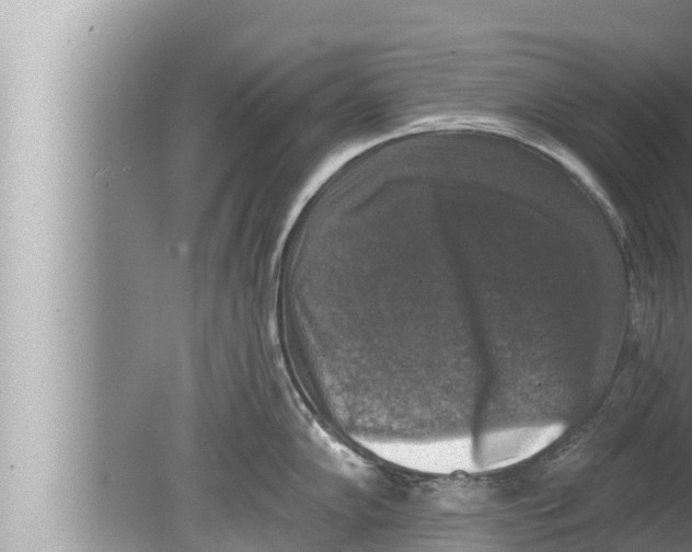 X0000080151102200612302121