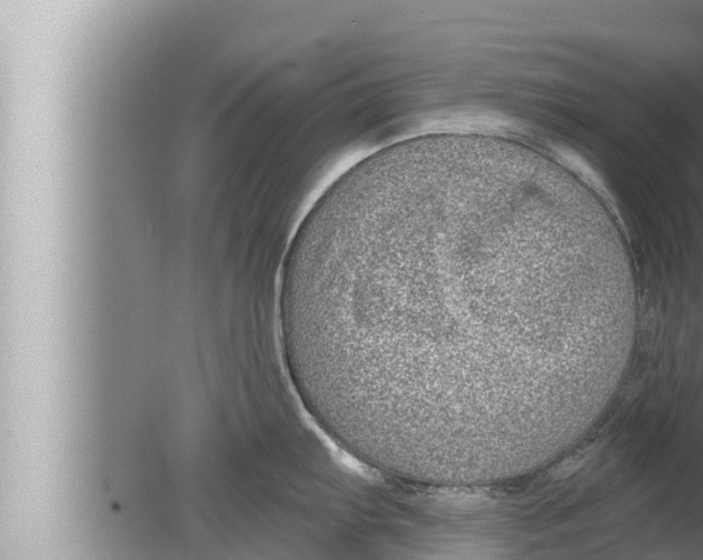 X0000080151103200612302121