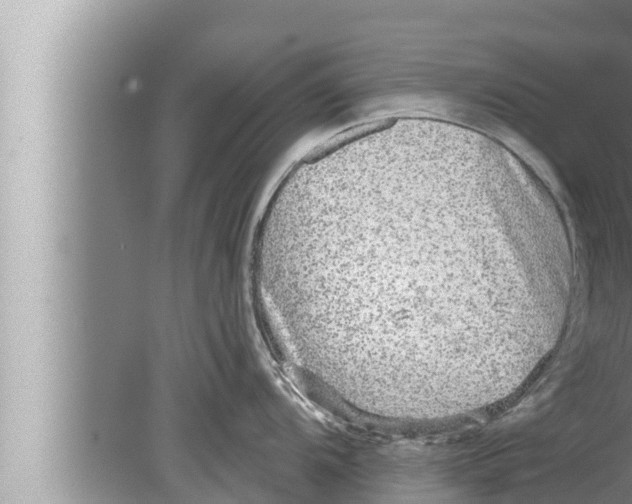 X0000080151104200612302121