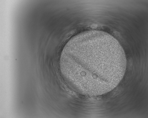 X0000080151105200612302120