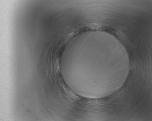 X0000080151106200612302120