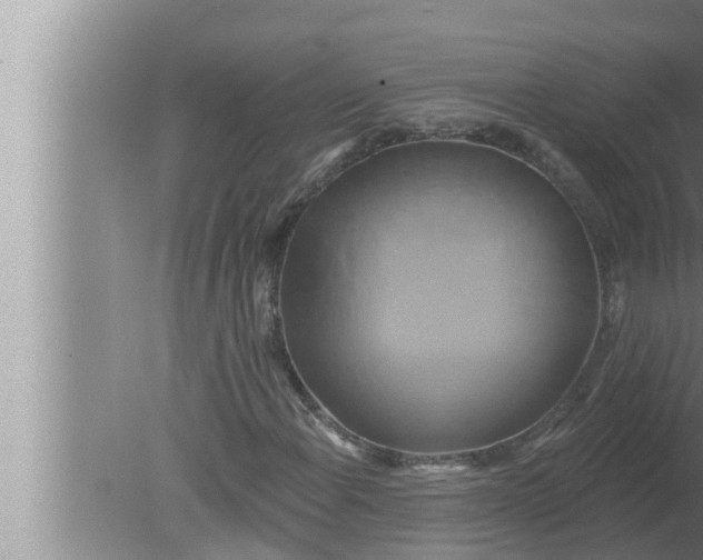 X0000080151108200612302120