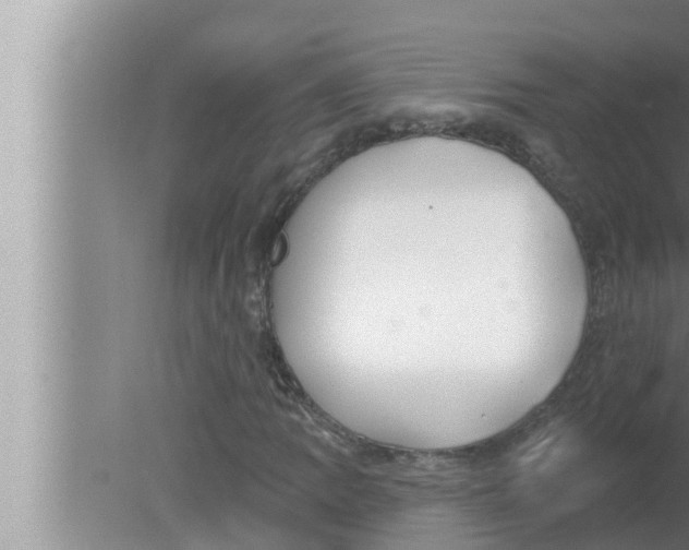 X0000080151109200612302120